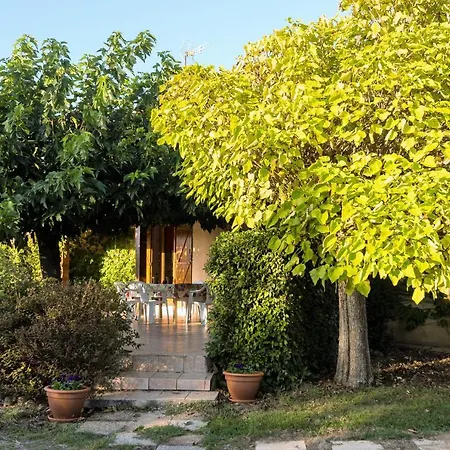 Le Violet Bed & Breakfast Gaillac