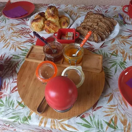 Le Violet 3* Gaillac