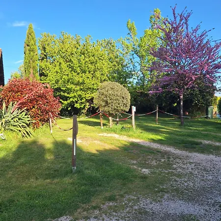 Le Violet Frühstückspension Gaillac
