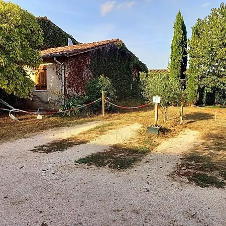 Le Violet Gaillac